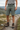 Lindesnes shorts herre Basil
